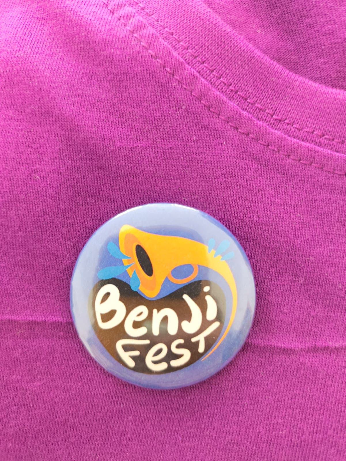 PIN benjiFest
